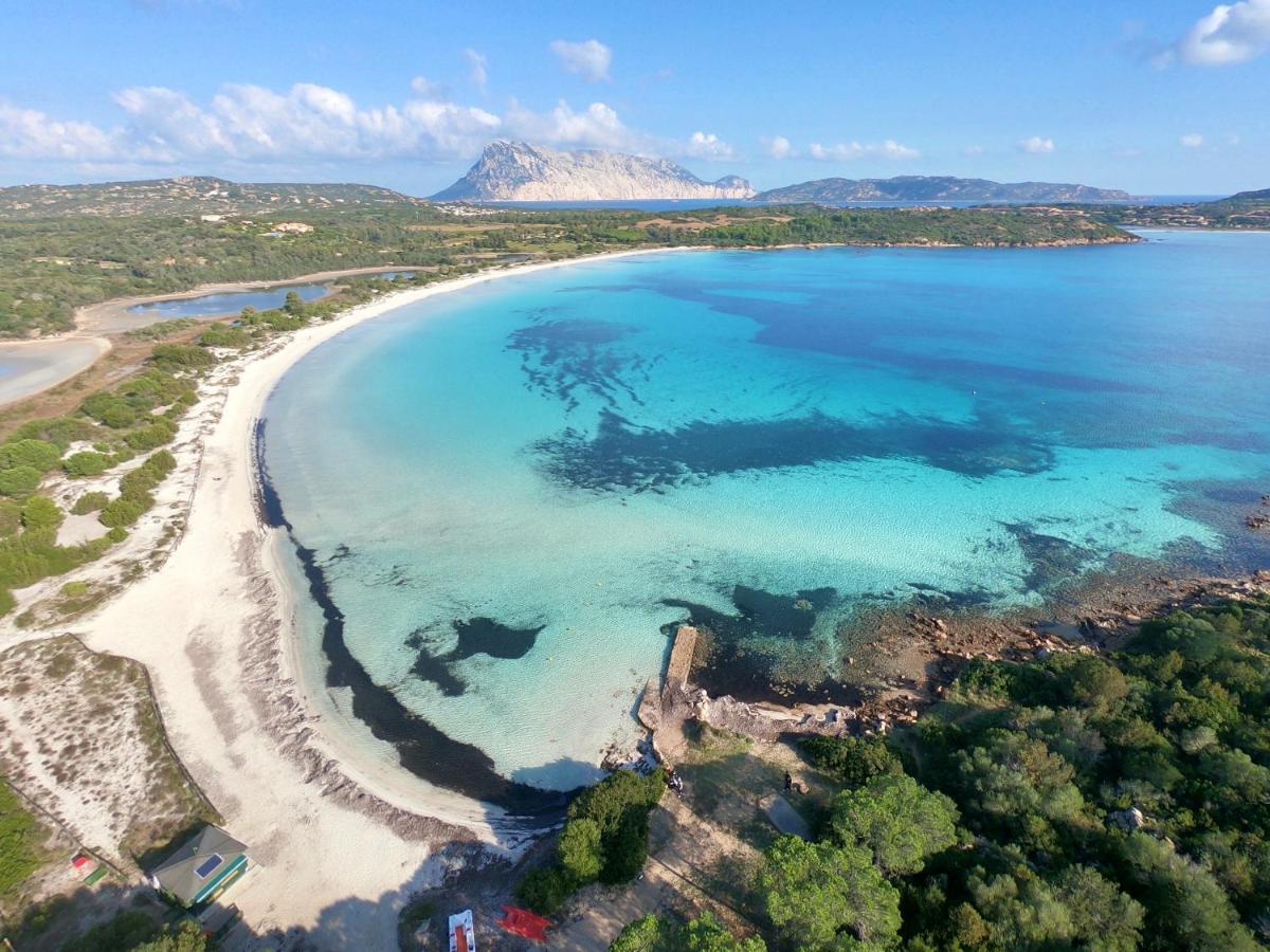 Iss Travel, Gli Asfodeli - Large Apartments With Private Terrace San Teodoro  Exteriér fotografie